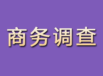 甘谷商务调查